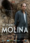 perro molina poster
