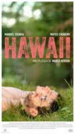 hawaii poster