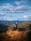 salt earth 1