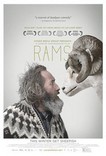 rams1