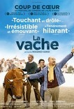 vache1