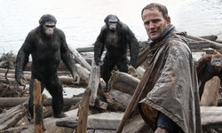 apes dos
