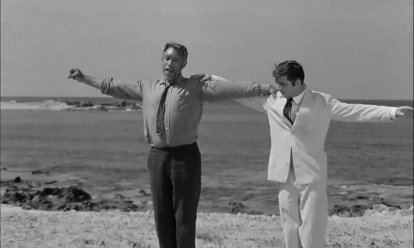 zorba