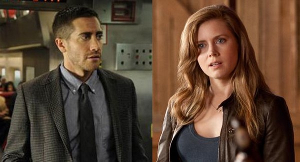 nocturnal animals