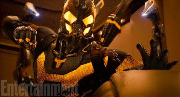 yellowjacket