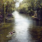el_libro_de_la_selva_uno