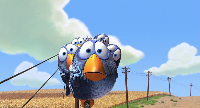 for the birds