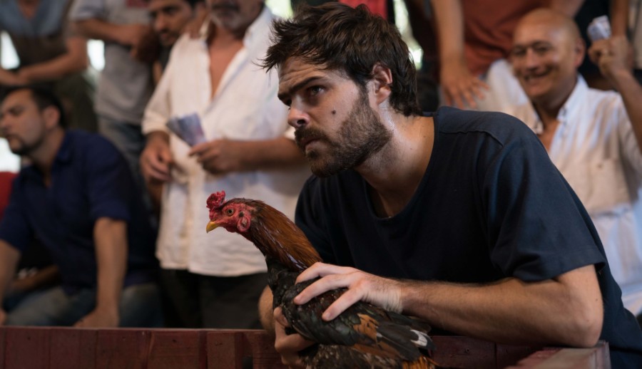 un_gallo_para_esculapio