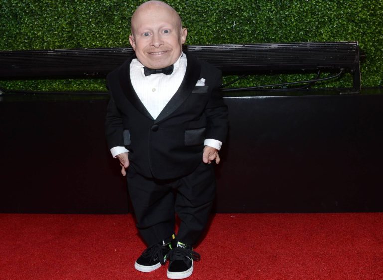 verne_troyer