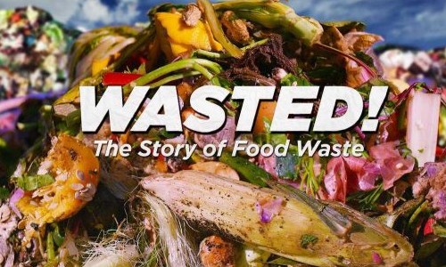 wasted