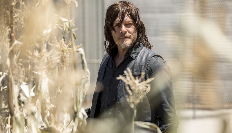the_walking_dead