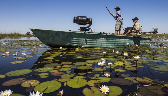 okavango