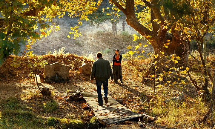 el_arbol_de_peras_silvestre_dos