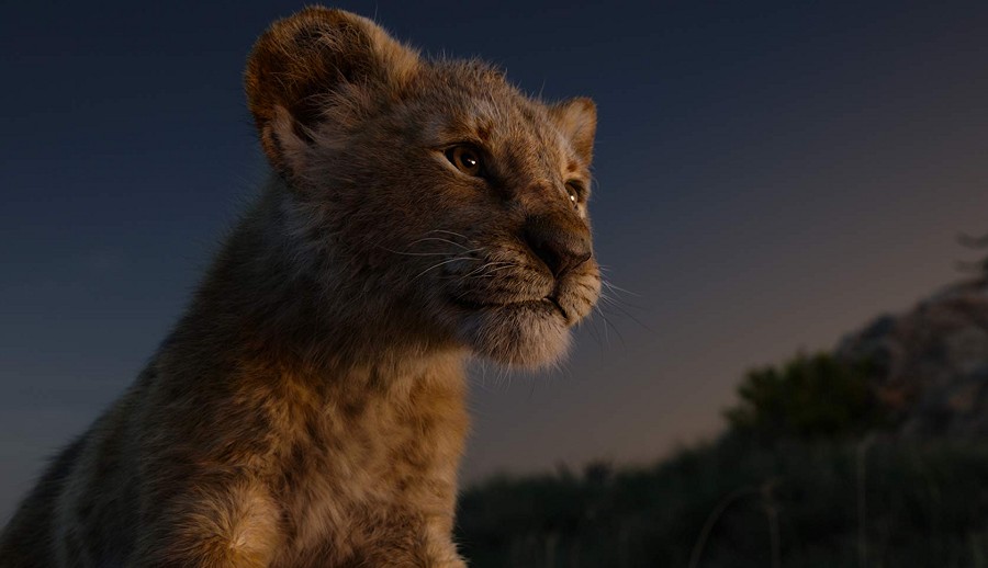 el_rey_leon