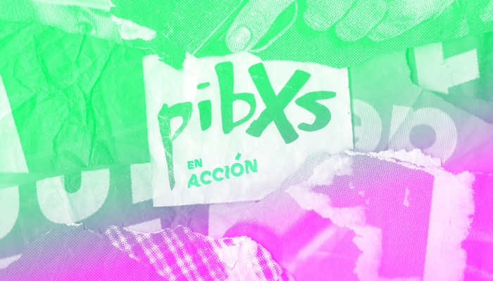pibxs en accion