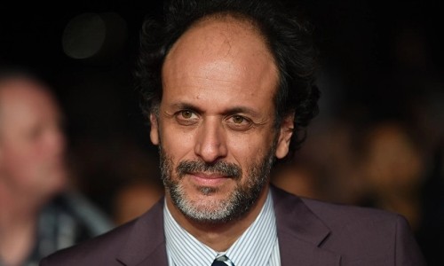 luca guadagnino