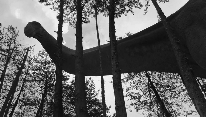 la conquista de las ruinas