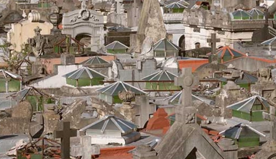 los peces tambien saltan