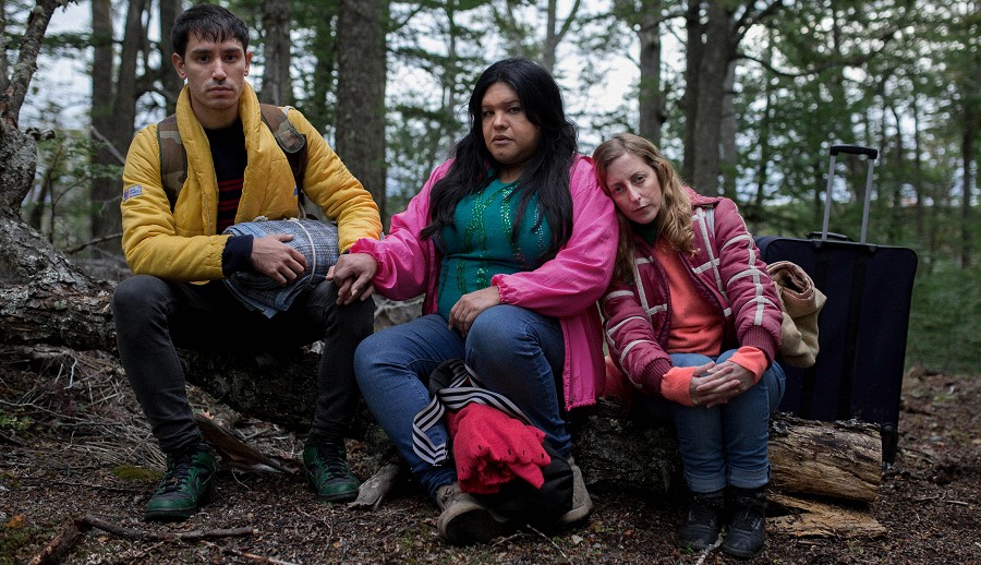 breve historia del planeta verde