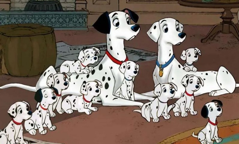 la noche de las narices frias_