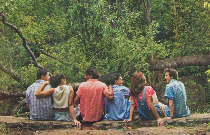 el verano que te vimos