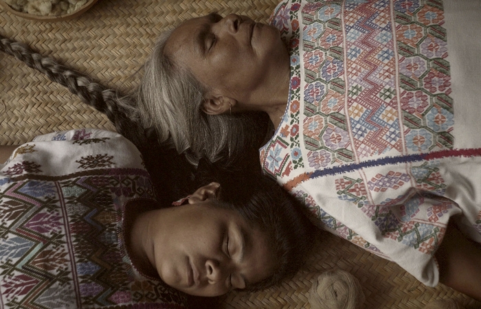 flores de la llanura