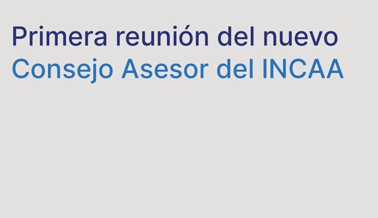 consejo asesor incaa