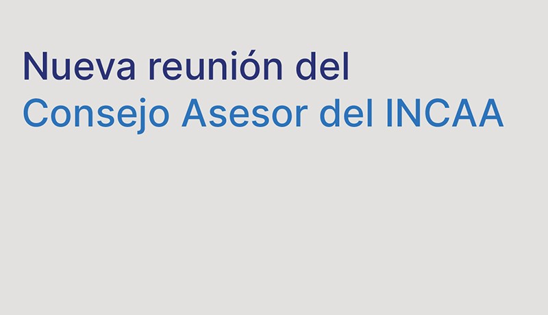 consejo asesor del incaa