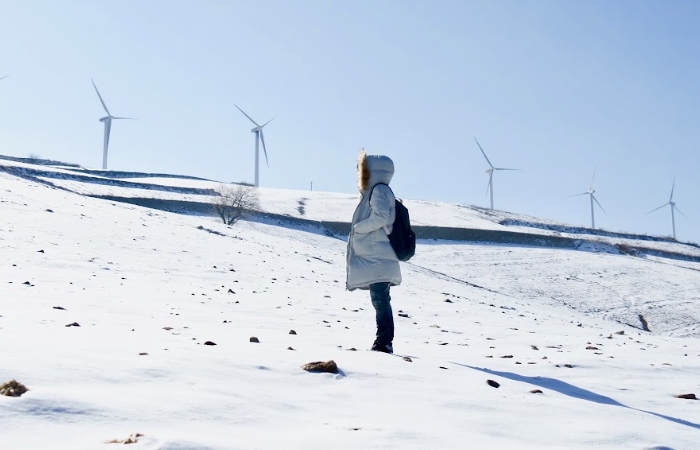 la colina de los vientos