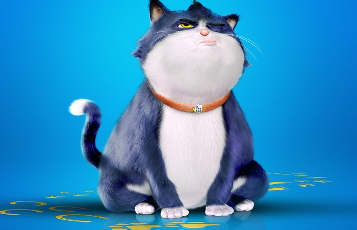 un gato con suerte