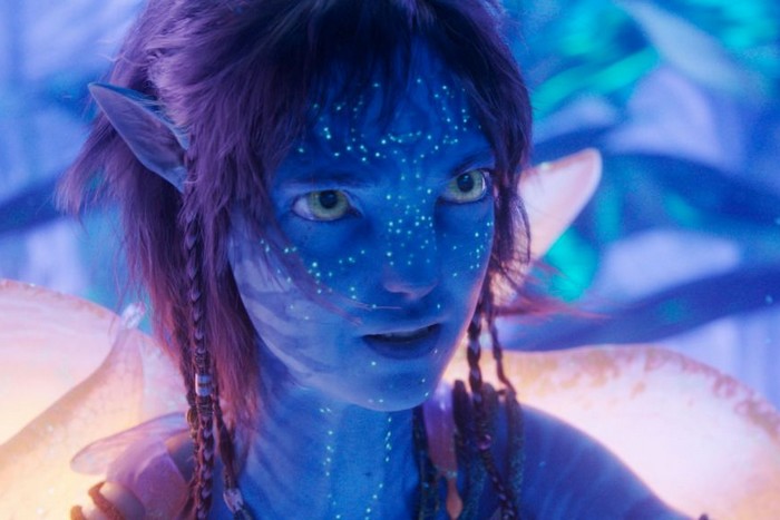 avatar fuego y cenizas