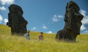 horses