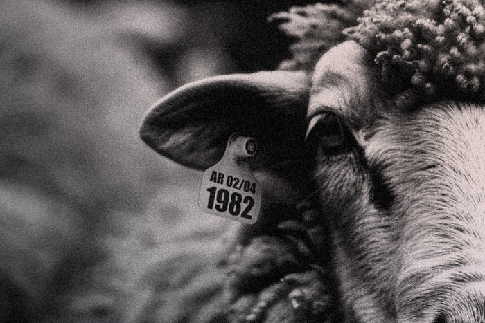 las voces del silencio