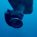 hombre de la atlantida