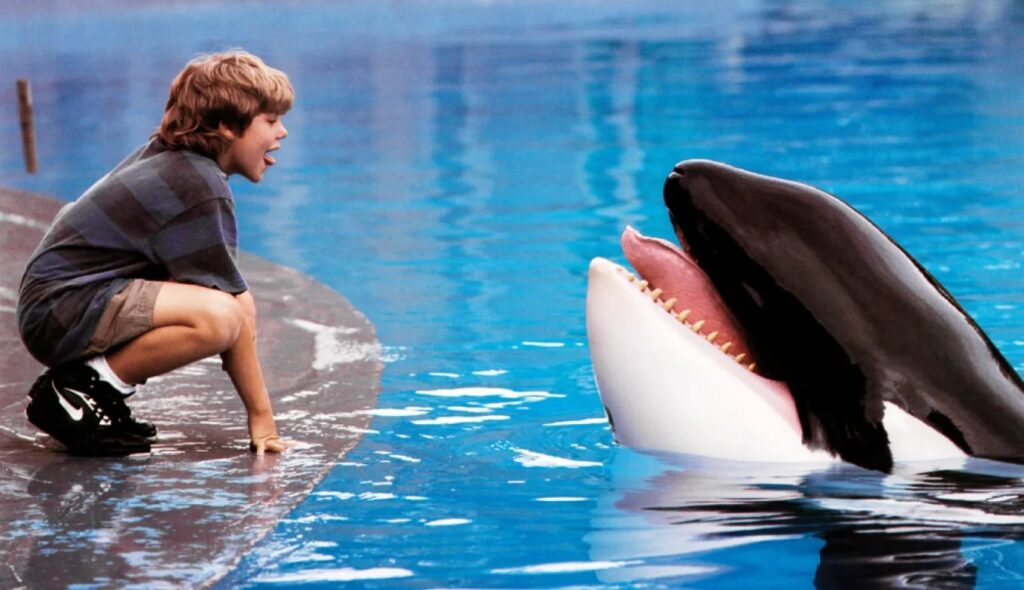 liberen a willy