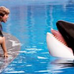 liberen a willy