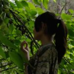 tierra citrus_