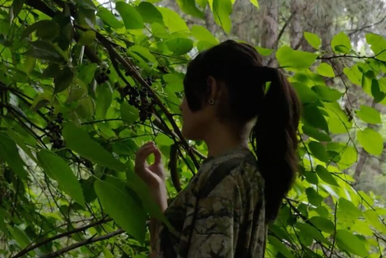 tierra citrus_