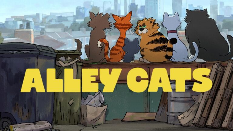 gatos callejeros
