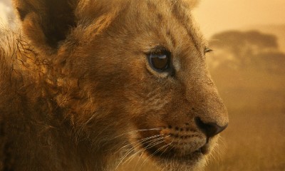 leon_